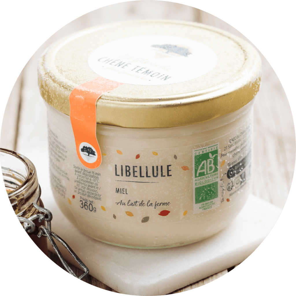 LIBELLULE